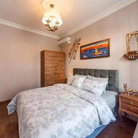 3br/2 Bath Ottoman House W Free Airport Transfer** Istanboel