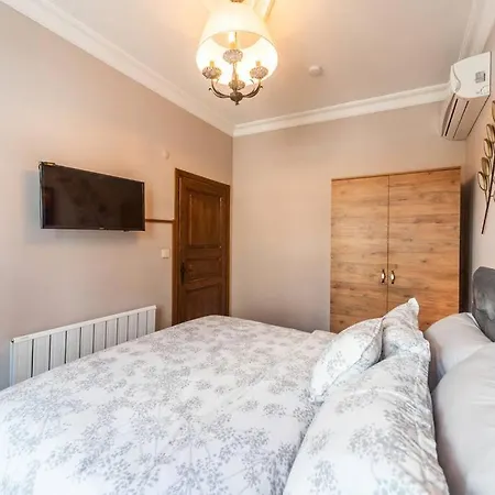3br/2 Bath Ottoman House W Free Airport Transfer** Отель Стамбул